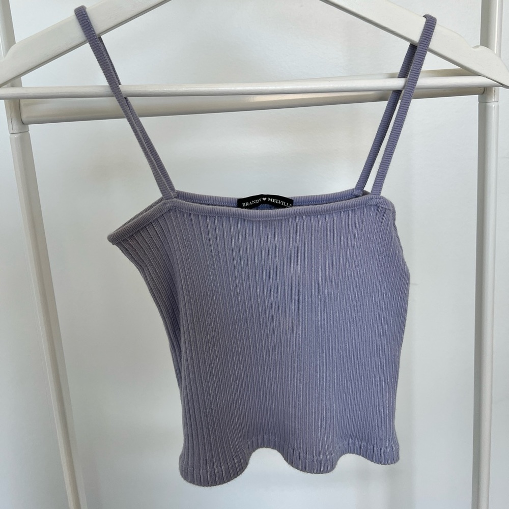 brandy crop top
